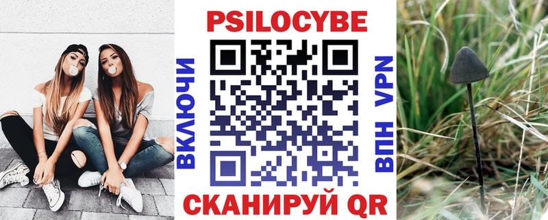 закладка  Полярный  Псилоцибиновые грибы Cubensis 